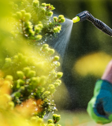 The Role of Surfactants in Agrochemical Formulations: Enhancing Stability, Spray Efficiency, and Crop Protection Performance