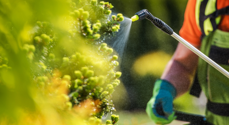 The Role of Surfactants in Agrochemical Formulations: Enhancing Stability, Spray Efficiency, and Crop Protection Performance