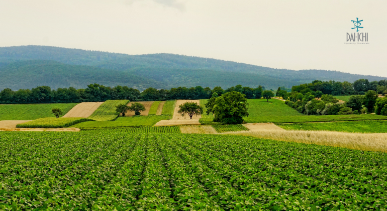 Importance of Specialty Chemicals in Sustainable Agrochemical Formulations